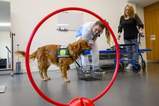 Les patients bénéficiant de la présence d’Indra sont choisis par l’équipe interdisciplinaire et ce choix est validé par le médecin, selon les objectifs recherchés et les intérêts de la personne prise en charge. KEYSTONE/JEAN-CHRISTOPHE BOTT